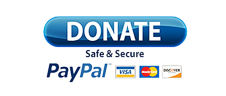PayPal Donate